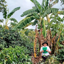 画像をギャラリービューアに読み込む, ’Guatemala San Fransisco