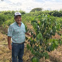 画像をギャラリービューアに読み込む, ’Colombia Santa Monica Ombligon