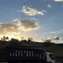 画像をギャラリービューアに読み込む, ’Brazil Santa Mônica【Geisha】