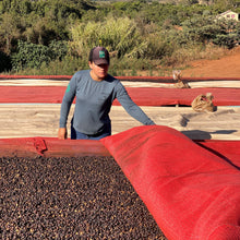 画像をギャラリービューアに読み込む, ’Brazil Santa Mônica【Geisha】