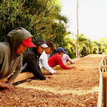画像をギャラリービューアに読み込む, ’Nicaragua Santa Maria de Lourdes ”Parainema”