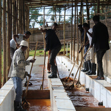 画像をギャラリービューアに読み込む, ’Ethiopai Uraga Raro【Fermented Natural】