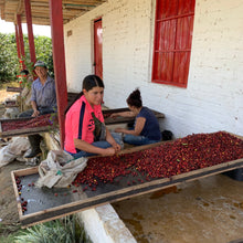 画像をギャラリービューアに読み込む, ’Colombia Jairo Arcila【Banana】