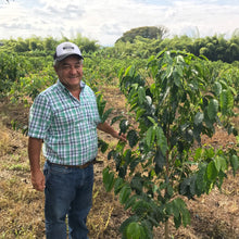 画像をギャラリービューアに読み込む, ’Colombia Jairo Arcila【Lulo】