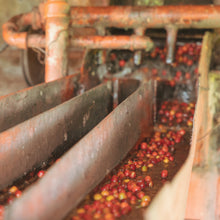 画像をギャラリービューアに読み込む, ’Kenya Kevote AB