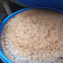 画像をギャラリービューアに読み込む, Colombia El Diviso Ombligon Natural