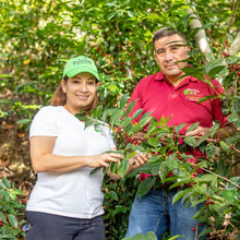 画像をギャラリービューアに読み込む, ’Panama Hartmann【Geisha Washed】
