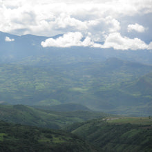 画像をギャラリービューアに読み込む, ’Colombia Finca Jardines del Eden 【Peach】