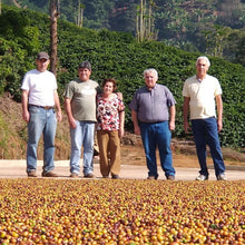 画像をギャラリービューアに読み込む, ’Brazil Sitio Da Torre