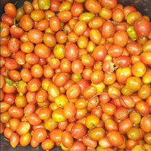 画像をギャラリービューアに読み込む, ’Colombia Granja Paraiso 92 【Geisha】