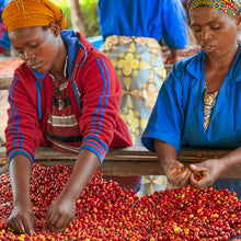 画像をギャラリービューアに読み込む, ’Rwanda Humure Anaerobic Natural