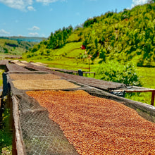 画像をギャラリービューアに読み込む, ’Rwanda Humure Anaerobic Natural