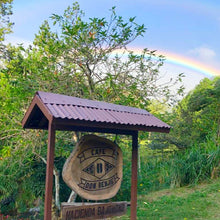 画像をギャラリービューアに読み込む, ’Panama Don Benjie【Geisha CM-6 El Velo Lot】