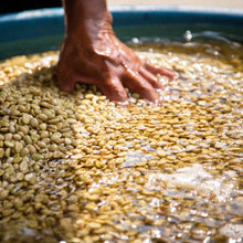 画像をギャラリービューアに読み込む, ’Guatemala Lomas Altas