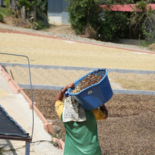 画像をギャラリービューアに読み込む, ’Costa Rica Finca El Dragon