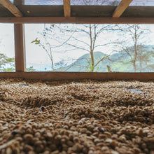 画像をギャラリービューアに読み込む, ’Peru Alto Inambari