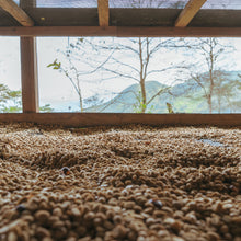 画像をギャラリービューアに読み込む, ’Peru Puente Solaya