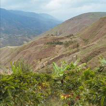 画像をギャラリービューアに読み込む, ’Peru Alto Inambari