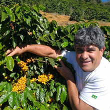 画像をギャラリービューアに読み込む, ’Brazil Sitio Da Torre