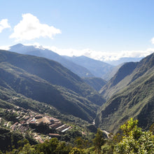 画像をギャラリービューアに読み込む, ’Bolivia Agro Takesi【Geisha Peaberry】