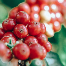 画像をギャラリービューアに読み込む, ’Colombia El Paraiso【Geisha "Letty"】