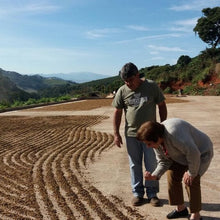 画像をギャラリービューアに読み込む, ’Brazil Sitio Da Torre