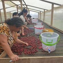 画像をギャラリービューアに読み込む, ’Colombia Granja Paraiso 92【Java】