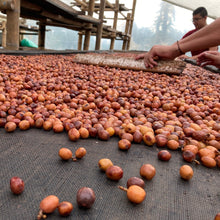 画像をギャラリービューアに読み込む, ’Colombia Red Anaerobic 1000h