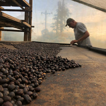 画像をギャラリービューアに読み込む, ’Colombia Red Anaerobic 1000h