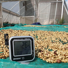 画像をギャラリービューアに読み込む, ’Indonesia Frinsa Sarapan#2
