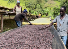 画像をギャラリービューアに読み込む, ’Ethiopia Wush Wush Natural
