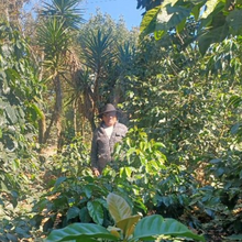 画像をギャラリービューアに読み込む, ’Guatemala San Fransisco
