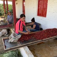 画像をギャラリービューアに読み込む, ’Colombia Santa Monica Ombligon
