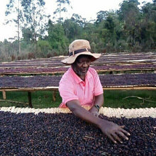 画像をギャラリービューアに読み込む, ’Ethiopia Halo #19 Birhanu Dido 2023
