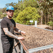 画像をギャラリービューアに読み込む, ’Costa Rica Corralillo
