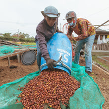 画像をギャラリービューアに読み込む, ’Indonesia Frinsa Sarapan#2
