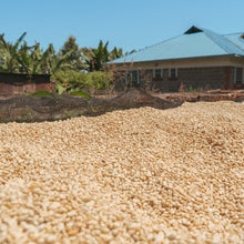 画像をギャラリービューアに読み込む, ’Kenya Kutere AB
