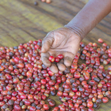 画像をギャラリービューアに読み込む, ’Kenya Kutere AB
