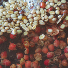 画像をギャラリービューアに読み込む, ’Kenya Kevote AB
