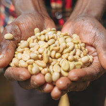 画像をギャラリービューアに読み込む, ’Kenya Kutere AB
