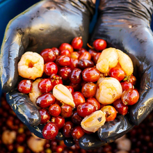 Load image into Gallery viewer, Colombia Luz Helena Salazar 【Lychee】
