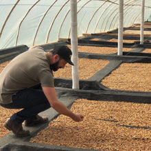 画像をギャラリービューアに読み込む, Colombia Finca Milan【Nitro】
