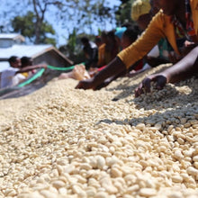 画像をギャラリービューアに読み込む, ’Ethiopai Uraga Raro【Fermented Natural】
