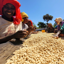 画像をギャラリービューアに読み込む, Ethiopia Lalesa Washed
