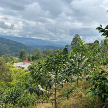 画像をギャラリービューアに読み込む, Colombia El Diviso Ombligon Natural
