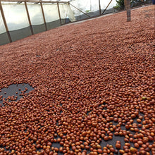 画像をギャラリービューアに読み込む, Colombia El Diviso Ombligon Natural
