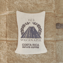 画像をギャラリービューアに読み込む, Costa Rica Volcan Azul SL28 Anaerobic Natural
