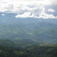 画像をギャラリービューアに読み込む, ’Colombia Finca Jardines del Eden 【Strawberry】
