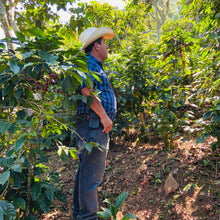 画像をギャラリービューアに読み込む, ’Guatemala Q’ejna
