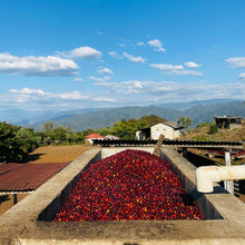 画像をギャラリービューアに読み込む, ’Guatemala Q’ejna
